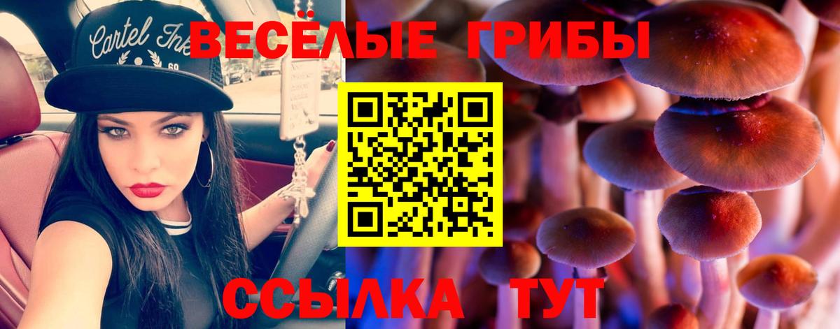 Псилоцибиновые грибы прущие грибы  Вход с VPN  Тавда 